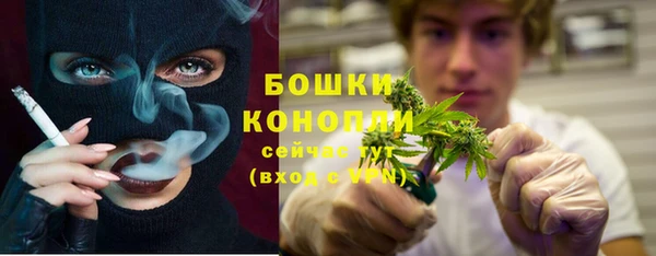 индика Заводоуковск