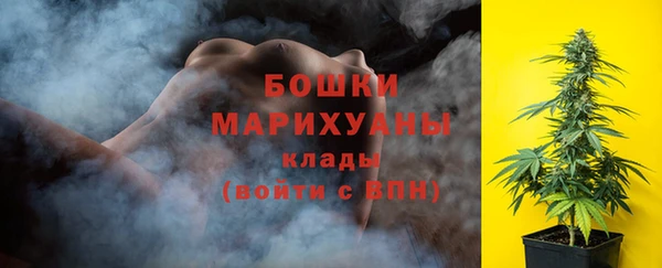 индика Заводоуковск