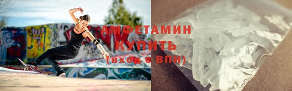 индика Заводоуковск