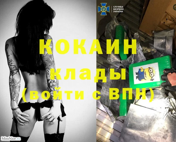 индика Заводоуковск