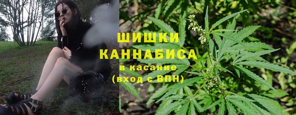 индика Заводоуковск
