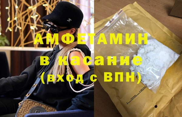 индика Заводоуковск