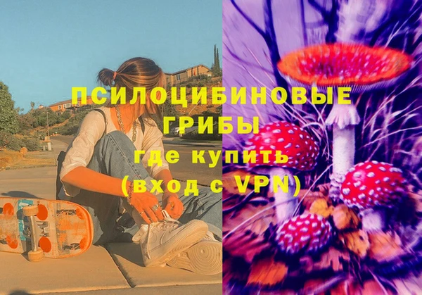индика Заводоуковск