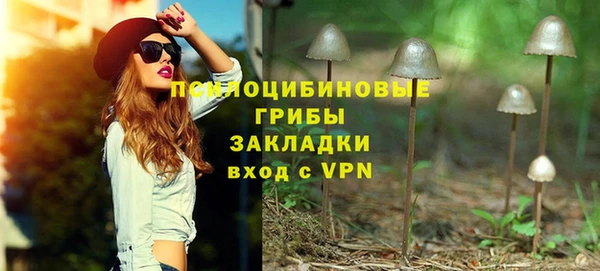 спиды Заволжье
