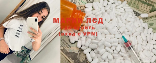 индика Заводоуковск